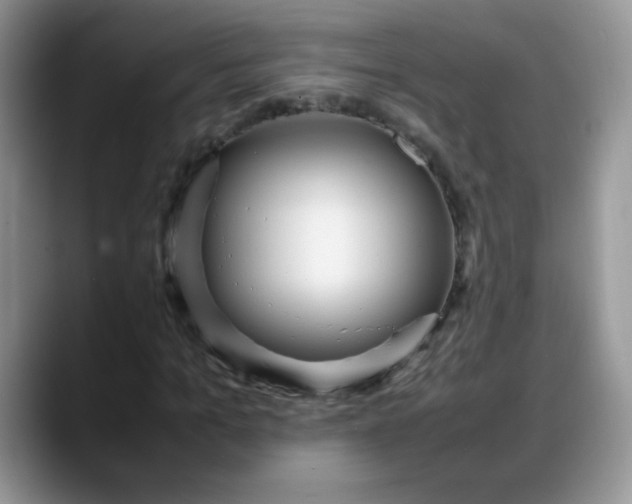 X0000088170965200705291928