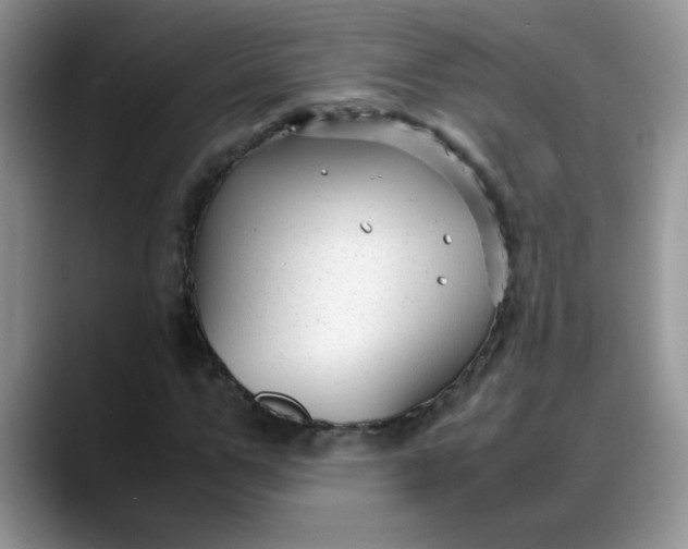 X0000088170967200705291928