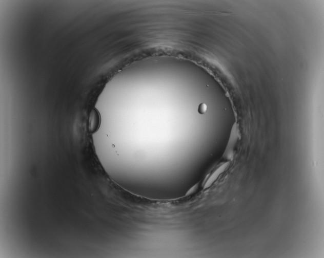 X0000088170968200705291928