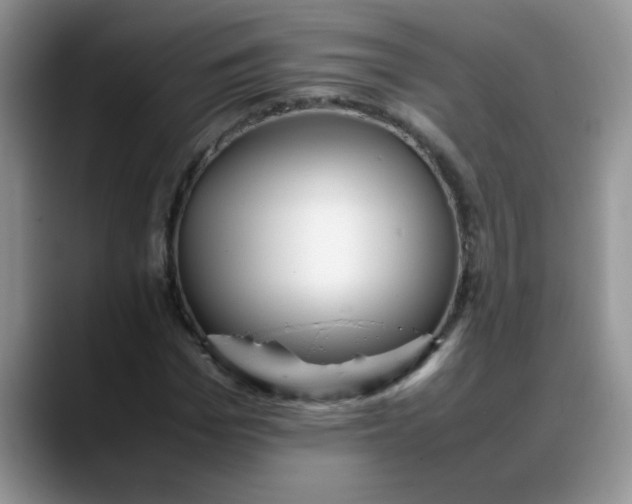 X0000088170969200705291928