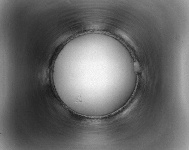 X0000088170970200705291928