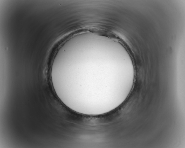 X0000088170971200705291928