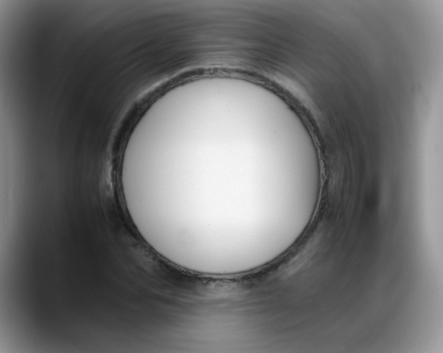 X0000088170974200705291928