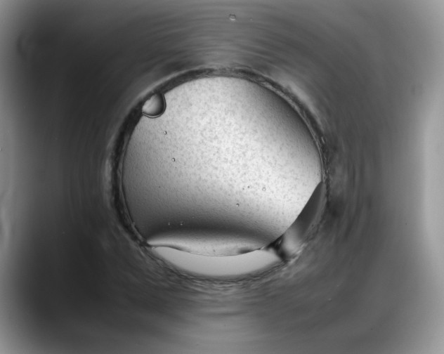 X0000088170975200705291928