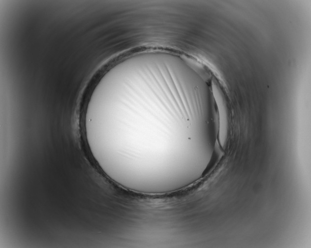 X0000088170976200705291928