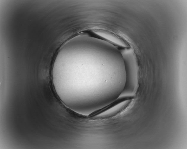 X0000088170977200705291928