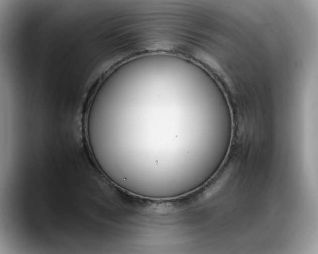 X0000088170978200705291928