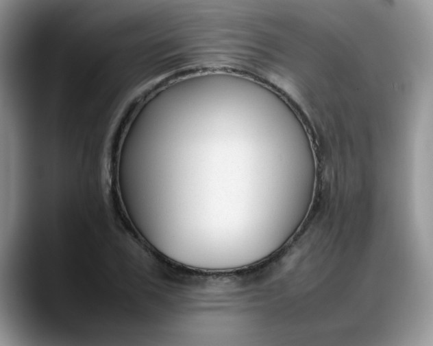 X0000088170979200705291928