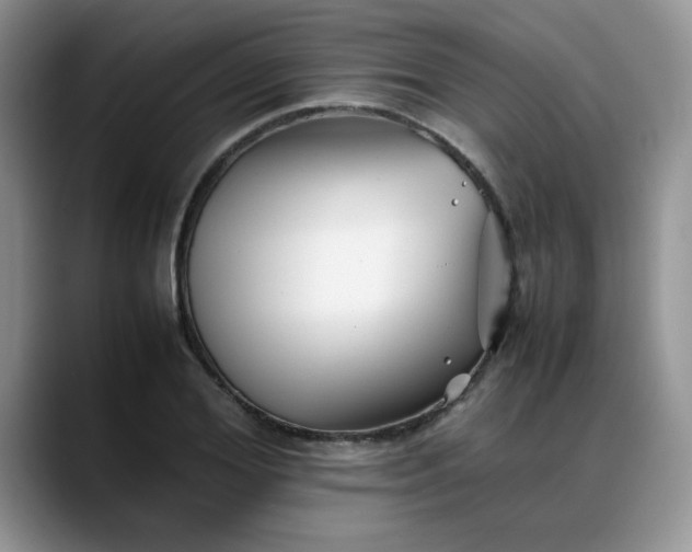 X0000088170980200705291928