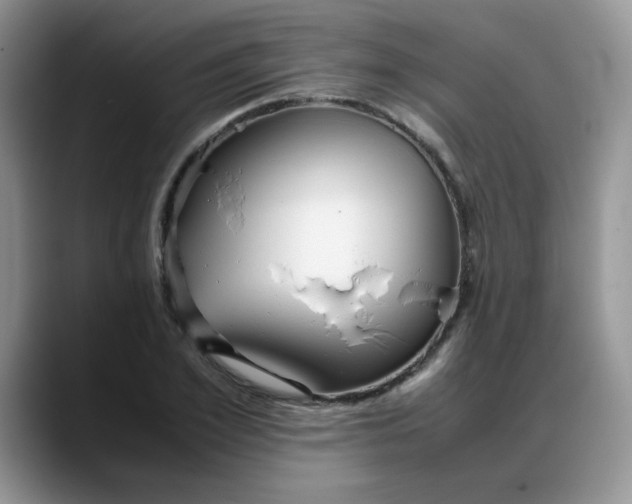 X0000088170981200705291928