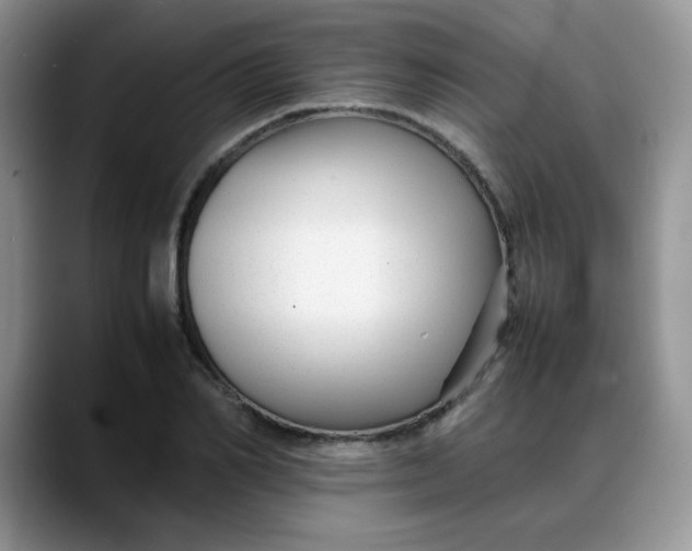 X0000088170982200705291928