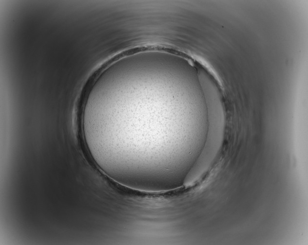 X0000088170983200705291928