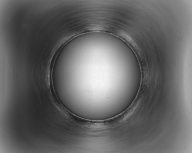 X0000088170986200705291928