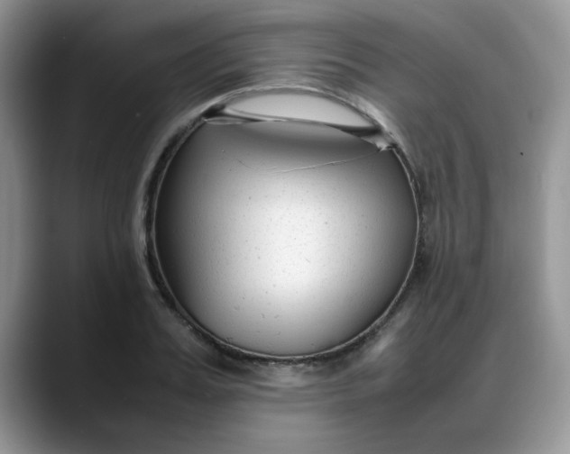 X0000088170987200705291928