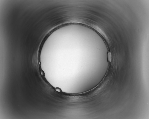 X0000088170988200705291928