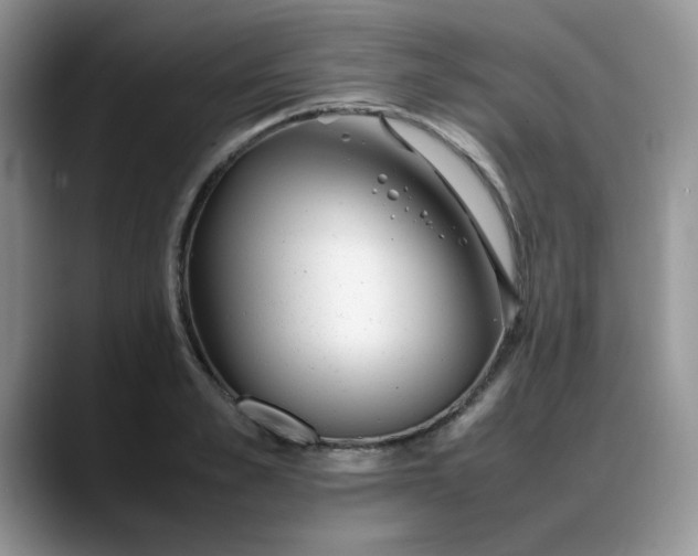 X0000088170989200705291928