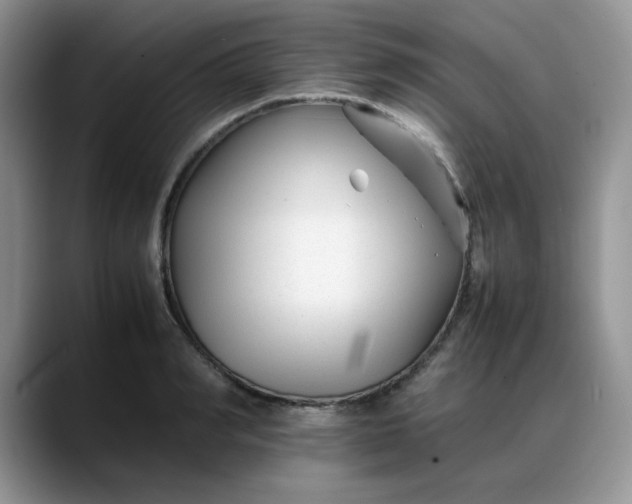 X0000088170990200705291928