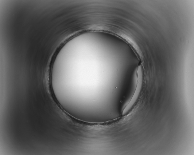 X0000088170992200705291928