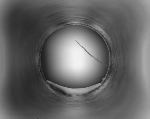 X0000088170993200705291928