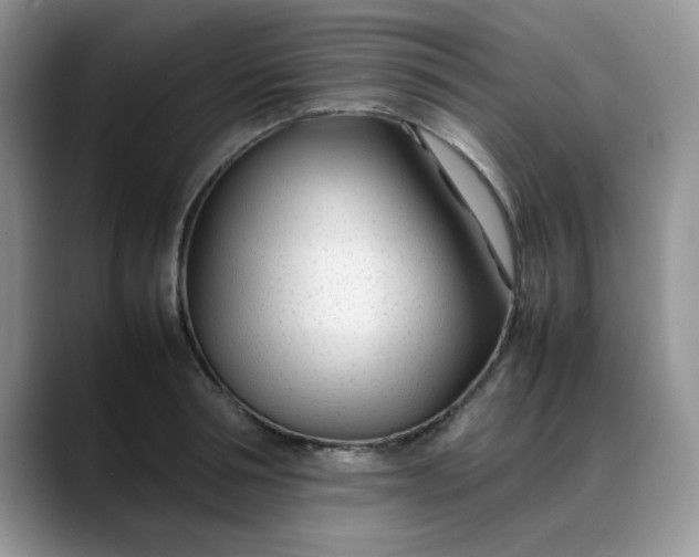 X0000088170994200705291928