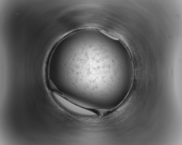 X0000088170995200705291928