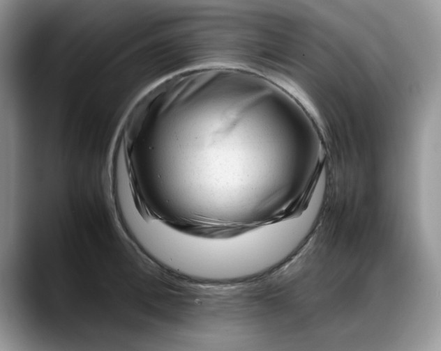 X0000088170996200705291928