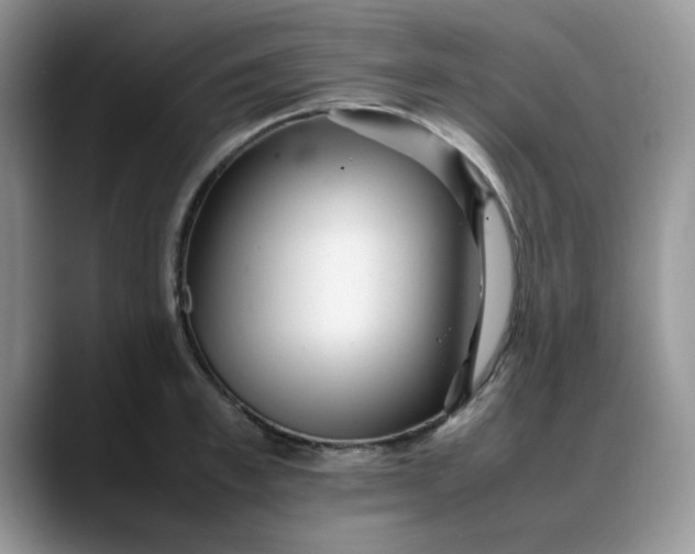 X0000088170997200705291928