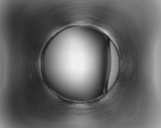 X0000088170998200705291928