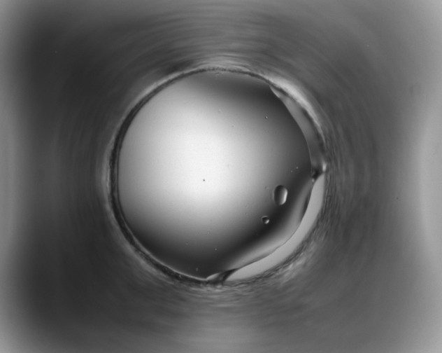 X0000088170999200705291928