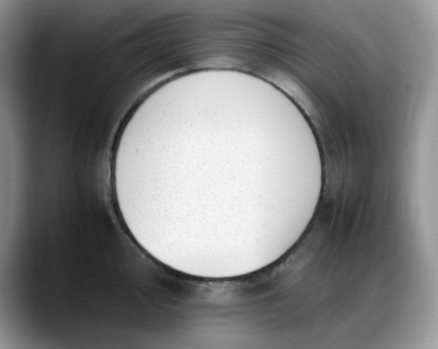 X0000088171000200705291928