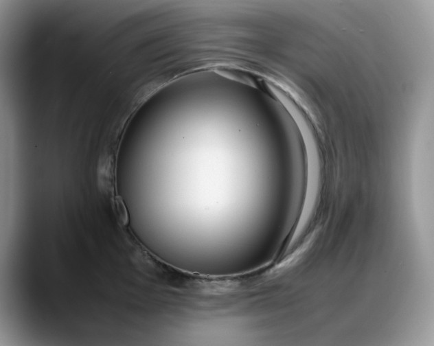 X0000088171001200705291928