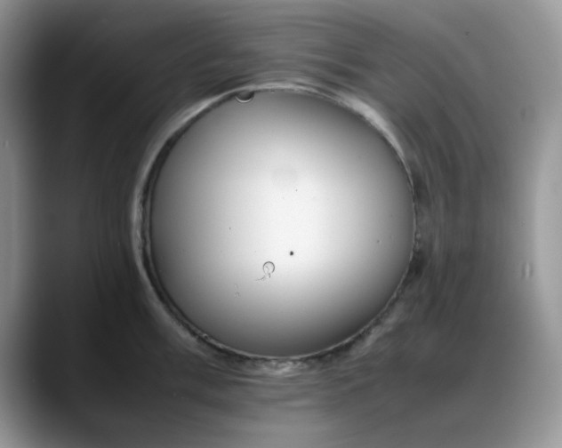 X0000088171003200705291928