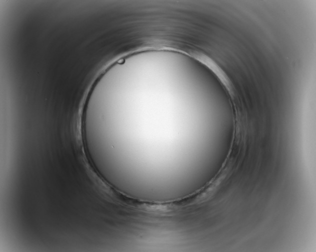 X0000088171004200705291928