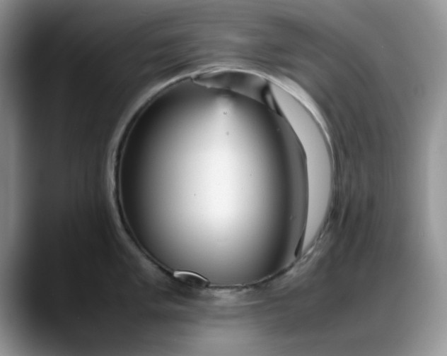 X0000088171005200705291928