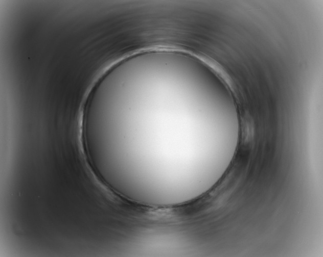 X0000088171006200705291928