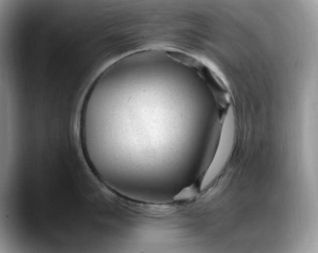 X0000088171007200705291928