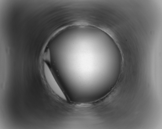 X0000088171008200705291928