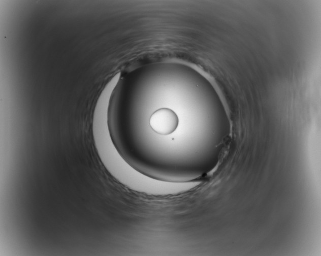 X0000088171010200705291927