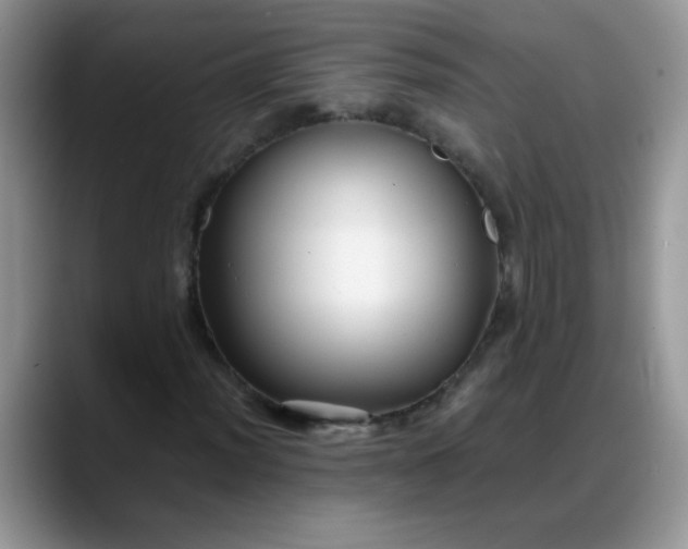 X0000088171012200705291927