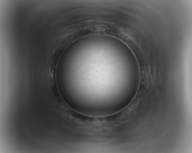 X0000088171013200705291927