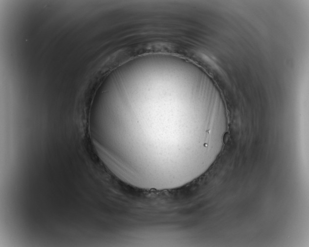 X0000088171015200705291927