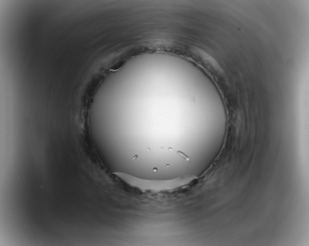 X0000088171016200705291927