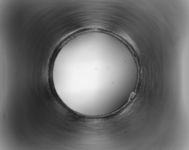 X0000088171020200705291927