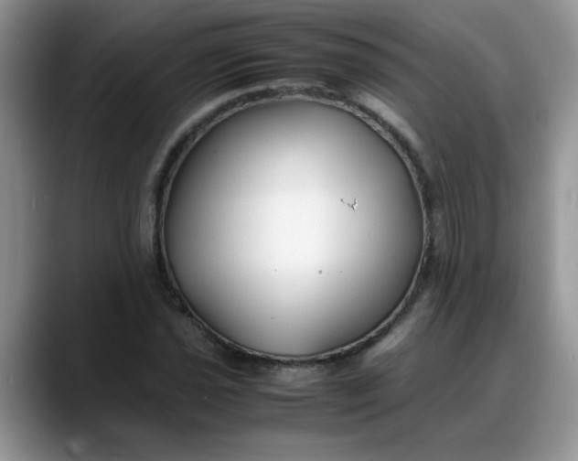 X0000088171021200705291927