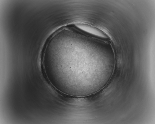 X0000088171024200705291927