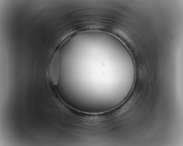 X0000088171025200705291927