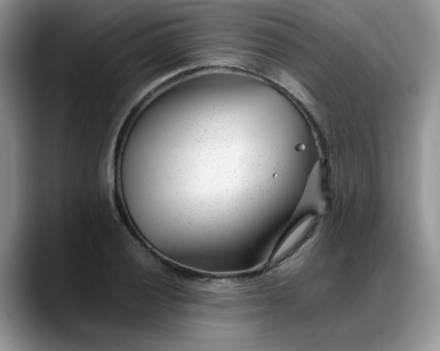 X0000088171028200705291927