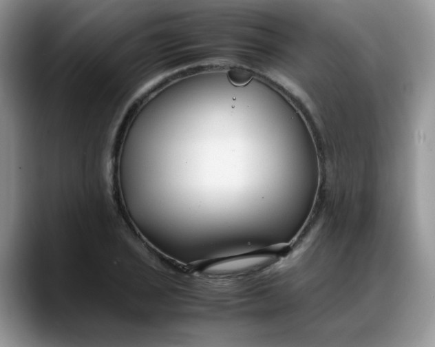 X0000088171029200705291927