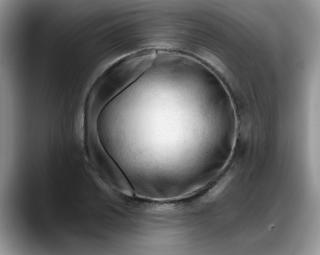 X0000088171030200705291927