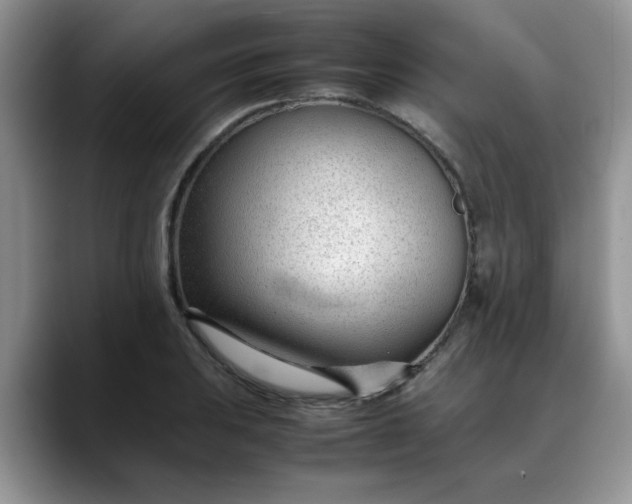 X0000088171031200705291927